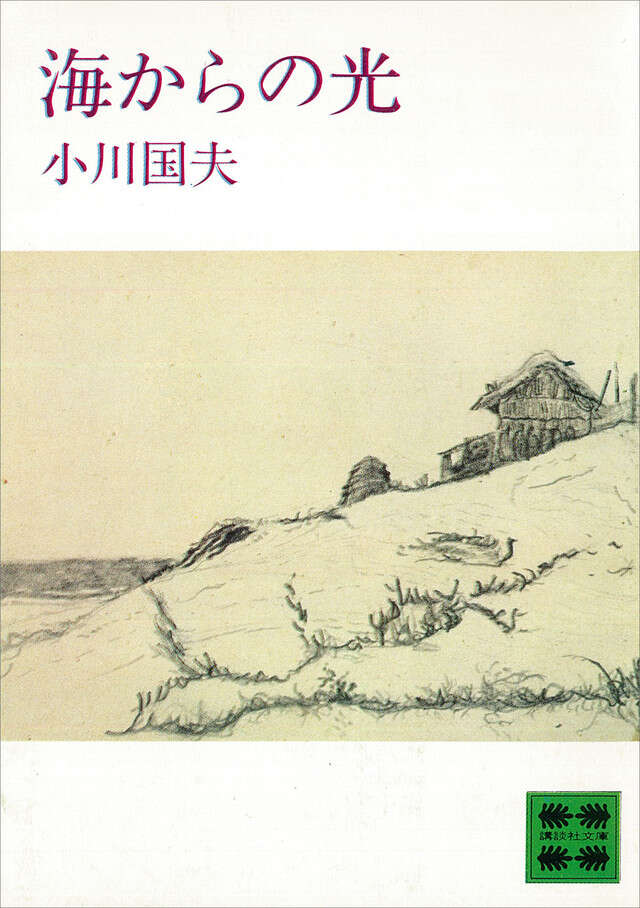 海からの光