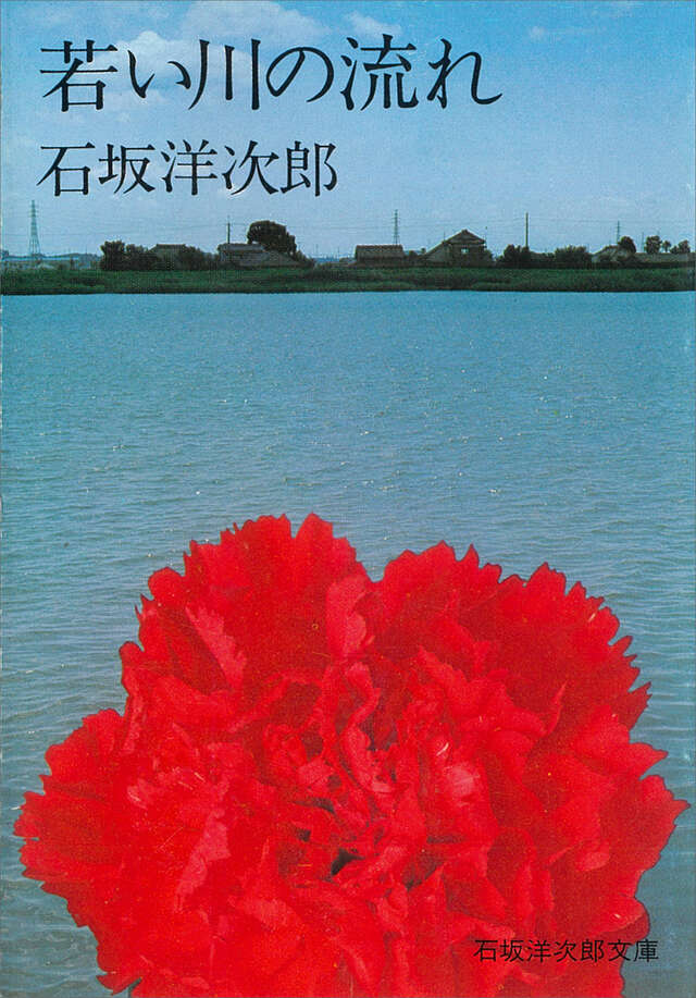 若い川の流れ