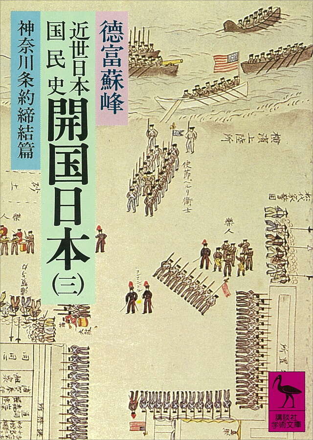 近世日本国民史　開国日本（３）