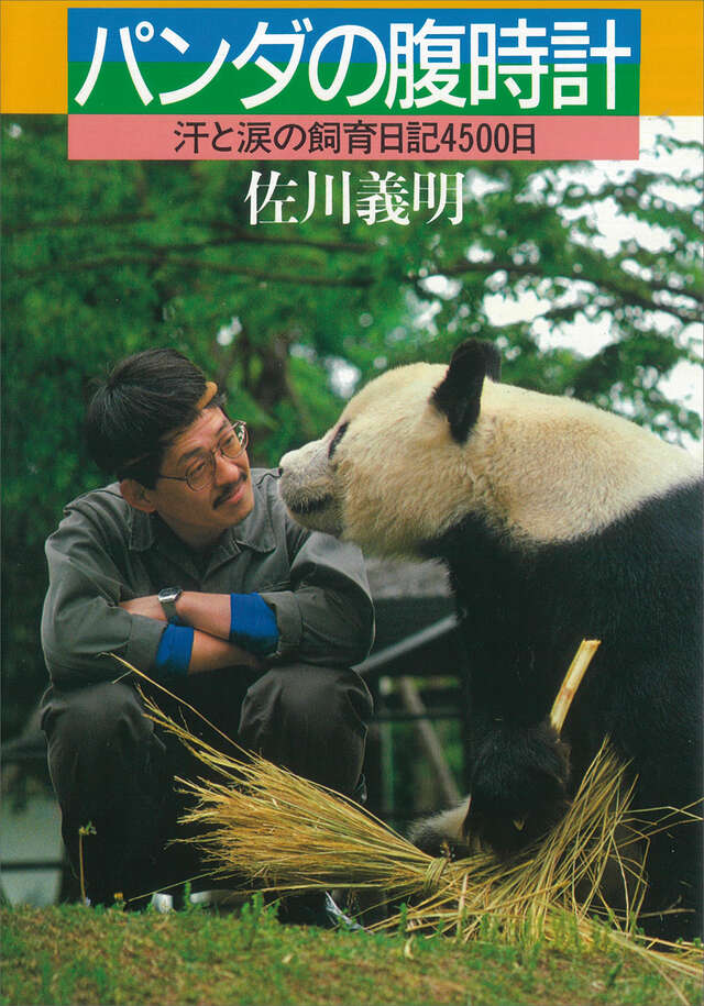 パンダの腹時計