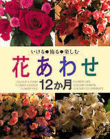 花あわせ１２か月