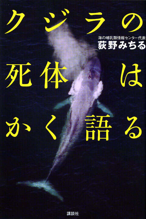 クジラの死体はかく語る