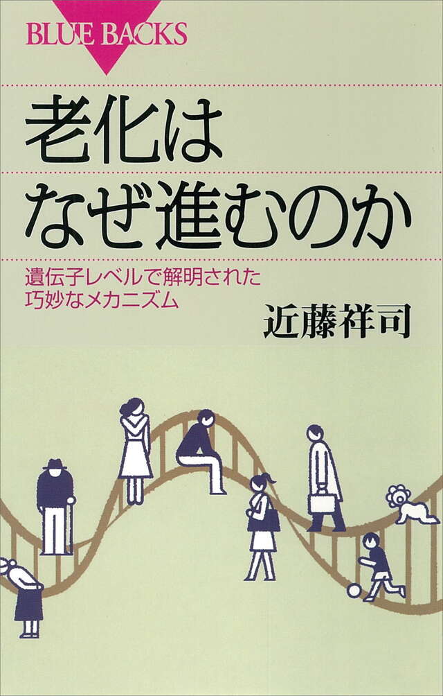 老化はなぜ進むのか