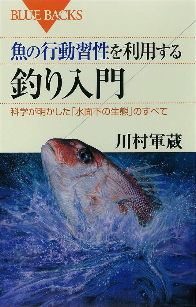 魚の行動習性を利用する　釣り入門