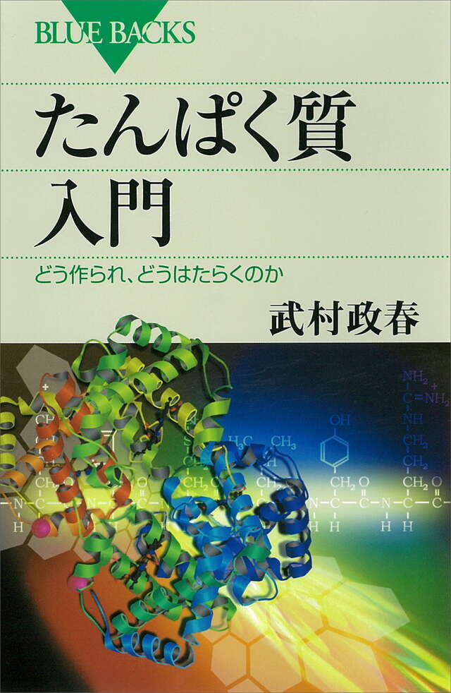 たんぱく質入門