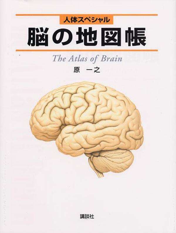 脳の地図帳