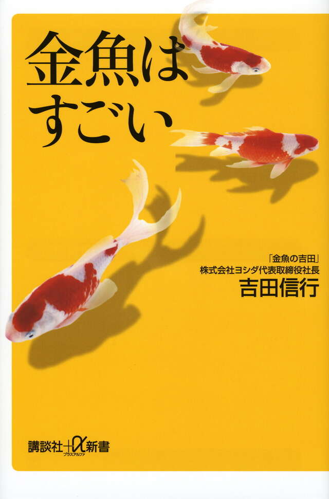 金魚はすごい