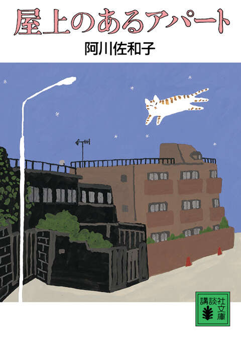 屋上のあるアパート