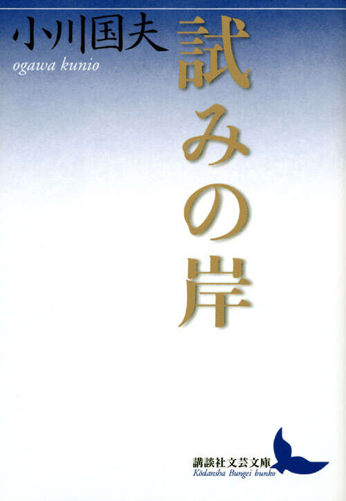 試みの岸