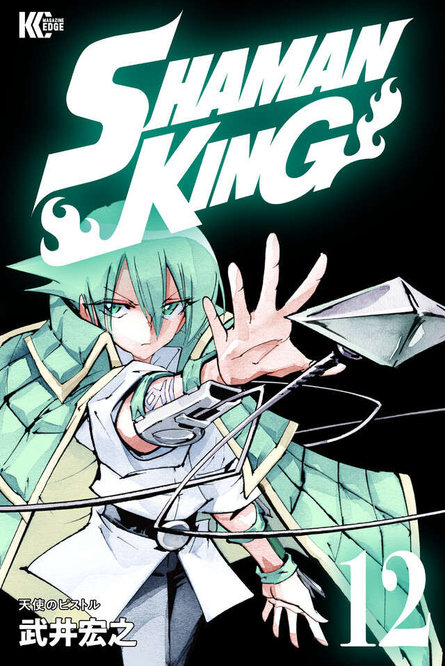 ＳＨＡＭＡＮ　ＫＩＮＧ　ＫＣ完結版（１２）