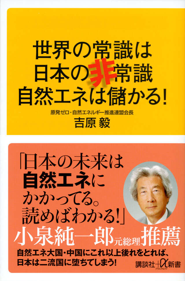 世界の常識は日本の非常識　自然エネは儲かる！