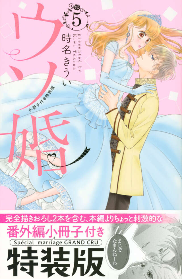 ウソ婚(5)小冊子付き特装版