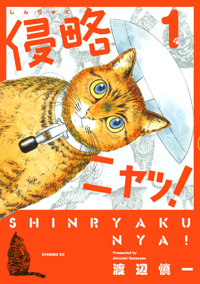 侵略ニャッ!(1)