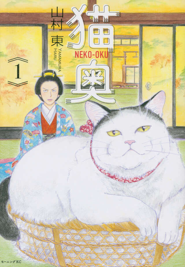 猫奥（１）