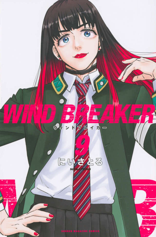 ＷＩＮＤ　ＢＲＥＡＫＥＲ（９）