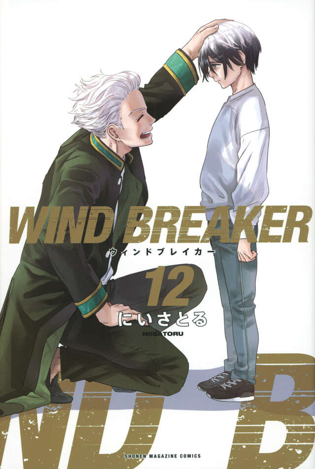ＷＩＮＤ　ＢＲＥＡＫＥＲ（１２）