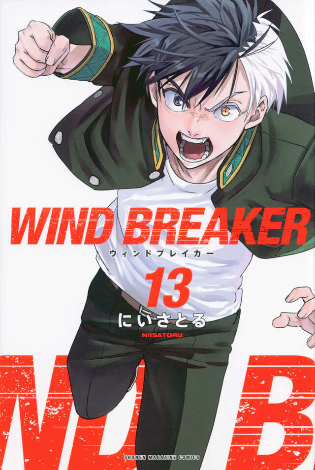 ＷＩＮＤ　ＢＲＥＡＫＥＲ（１３）